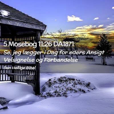 Picture 02 - 5 Mosebog 11:26 DA1871 - Se, jeg lægger i Dag for eders Ansigt - Bible Verse Picture