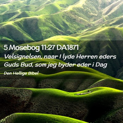 Picture 02 - 5 Mosebog 11:27 DA1871 - Velsignelsen, naar I lyde Herren eders Guds Bud, - Bible Verse Picture