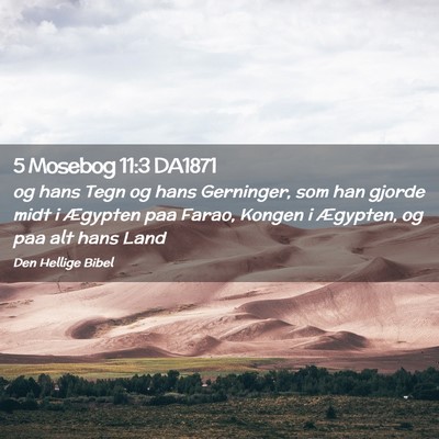 Picture 02 - 5 Mosebog 11:3 DA1871 - og hans Tegn og hans Gerninger, som han gjorde - Bible Verse Picture