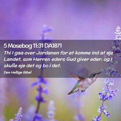 Picture 02 - 5 Mosebog 11:31 DA1871 - Thi I gaa over Jordanen for at komme ind at eje - Bible Verse Picture