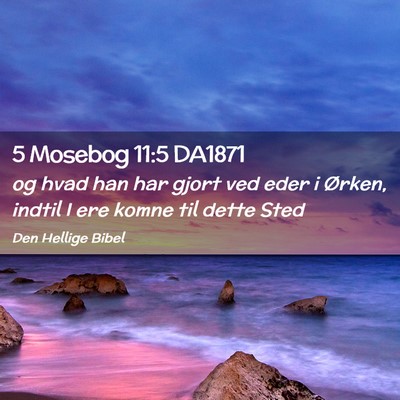 Picture 02 - 5 Mosebog 11:5 DA1871 - og hvad han har gjort ved eder i Ørken, indtil I - Bible Verse Picture