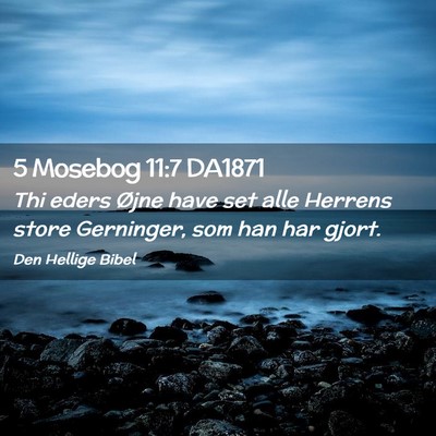 Picture 02 - 5 Mosebog 11:7 DA1871 - Thi eders Øjne have set alle Herrens store - Bible Verse Picture