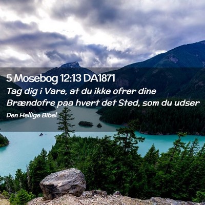 Picture 02 - 5 Mosebog 12:13 DA1871 - Tag dig i Vare, at du ikke ofrer dine Brændofre - Bible Verse Picture
