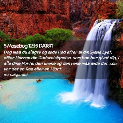 Picture 02 - 5 Mosebog 12:15 DA1871 - Dog maa du slagte og æde Kød efter al din - Bible Verse Picture
