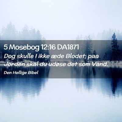 Picture 02 - 5 Mosebog 12:16 DA1871 - Dog skulle I ikke æde Blodet; paa Jorden skal du - Bible Verse Picture