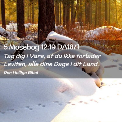 Picture 02 - 5 Mosebog 12:19 DA1871 - Tag dig i Vare, at du ikke forlader Leviten, alle - Bible Verse Picture