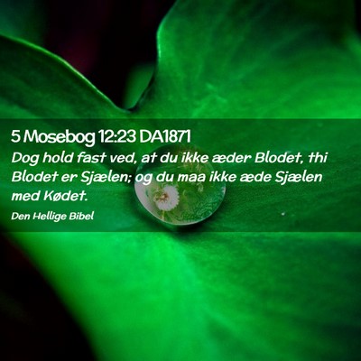 Picture 02 - 5 Mosebog 12:23 DA1871 - Dog hold fast ved, at du ikke æder Blodet, thi - Bible Verse Picture