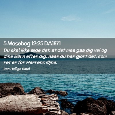 Picture 02 - 5 Mosebog 12:25 DA1871 - Du skal ikke æde det, at det maa gaa dig vel og - Bible Verse Picture
