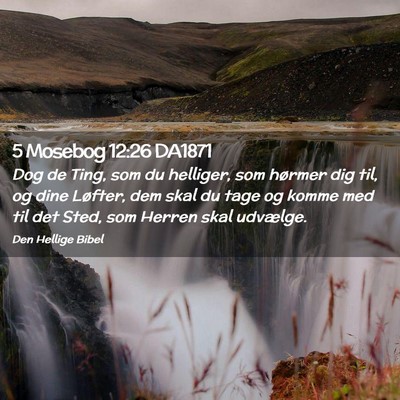 Picture 02 - 5 Mosebog 12:26 DA1871 - Dog de Ting, som du helliger, som hørmer dig - Bible Verse Picture