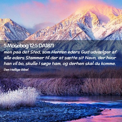 Picture 02 - 5 Mosebog 12:5 DA1871 - men paa det Sted, som Herren eders Gud udvælger - Bible Verse Picture