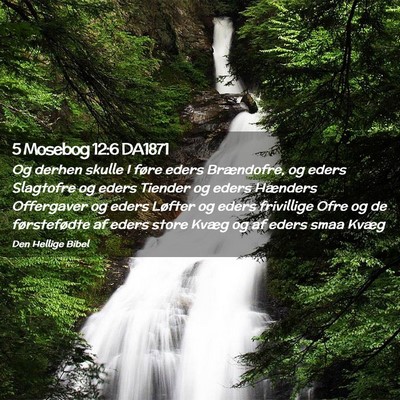 Picture 02 - 5 Mosebog 12:6 DA1871 - Og derhen skulle I føre eders Brændofre, og - Bible Verse Picture