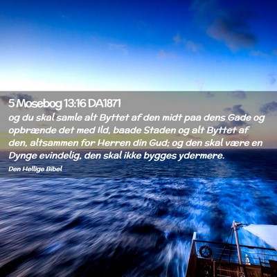 Picture 02 - 5 Mosebog 13:16 DA1871 - og du skal samle alt Byttet af den midt paa dens - Bible Verse Picture