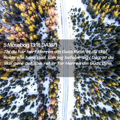 Picture 02 - 5 Mosebog 13:18 DA1871 - Thi du har hørt Herren din Guds Røst, at du - Bible Verse Picture