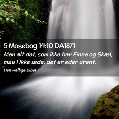 Picture 02 - 5 Mosebog 14:10 DA1871 - Men alt det, som ikke har Finne og Skæl, maa I - Bible Verse Picture