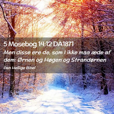 Picture 02 - 5 Mosebog 14:12 DA1871 - Men disse ere de, som I ikke maa æde af dem: - Bible Verse Picture