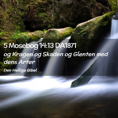 Picture 02 - 5 Mosebog 14:13 DA1871 - og Kragen og Skaden og Glenten med dens - Bible Verse Picture