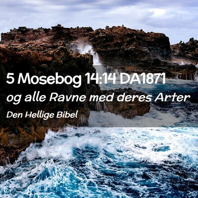 Picture 02 - 5 Mosebog 14:14 DA1871 - og alle Ravne med deres - Bible Verse Picture