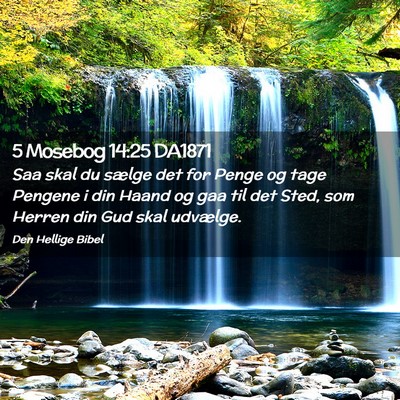 Picture 02 - 5 Mosebog 14:25 DA1871 - Saa skal du sælge det for Penge og tage Pengene - Bible Verse Picture
