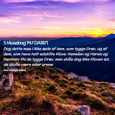 Picture 02 - 5 Mosebog 14:7 DA1871 - Dog dette maa I ikke æde af dem, som tygge - Bible Verse Picture