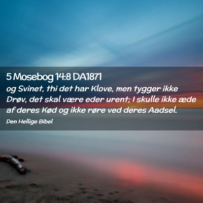 Picture 02 - 5 Mosebog 14:8 DA1871 - og Svinet, thi det har Klove, men tygger ikke - Bible Verse Picture