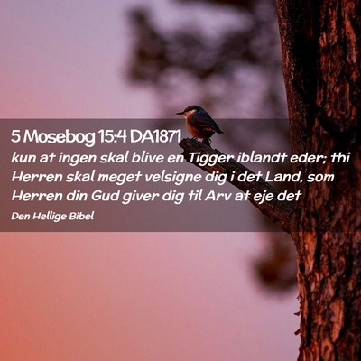 Picture 02 - 5 Mosebog 15:4 DA1871 - kun at ingen skal blive en Tigger iblandt eder; - Bible Verse Picture