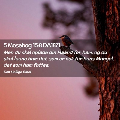 Picture 02 - 5 Mosebog 15:8 DA1871 - Men du skal oplade din Haand for ham, og du skal - Bible Verse Picture