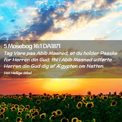 Picture 02 - 5 Mosebog 16:1 DA1871 - Tag Vare paa Abib Maaned, at du holder Paaske for - Bible Verse Picture