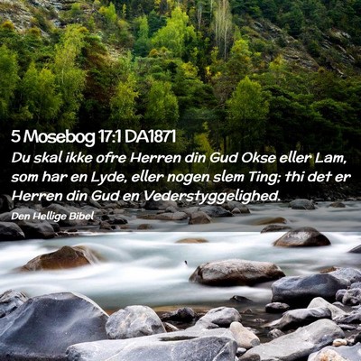 Picture 02 - 5 Mosebog 17:1 DA1871 - Du skal ikke ofre Herren din Gud Okse eller Lam, - Bible Verse Picture