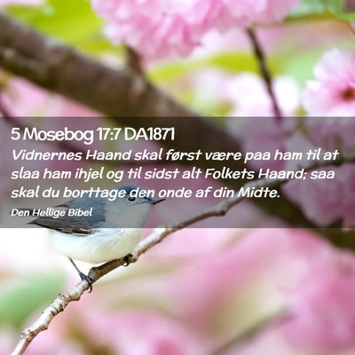 Picture 02 - 5 Mosebog 17:7 DA1871 - Vidnernes Haand skal først være paa ham til at - Bible Verse Picture