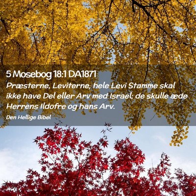 Picture 02 - 5 Mosebog 18:1 DA1871 - Præsterne, Leviterne, hele Levi Stamme skal ikke - Bible Verse Picture