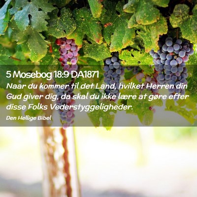 Picture 02 - 5 Mosebog 18:9 DA1871 - Naar du kommer til det Land, hvilket Herren din - Bible Verse Picture