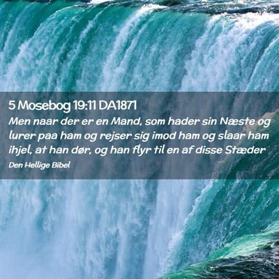 Picture 02 - 5 Mosebog 19:11 DA1871 - Men naar der er en Mand, som hader sin Næste og - Bible Verse Picture