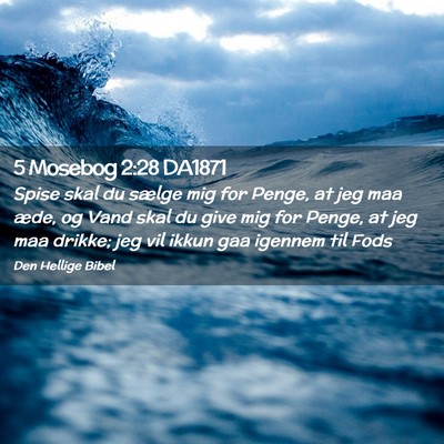 Picture 02 - 5 Mosebog 2:28 DA1871 - Spise skal du sælge mig for Penge, at jeg maa - Bible Verse Picture