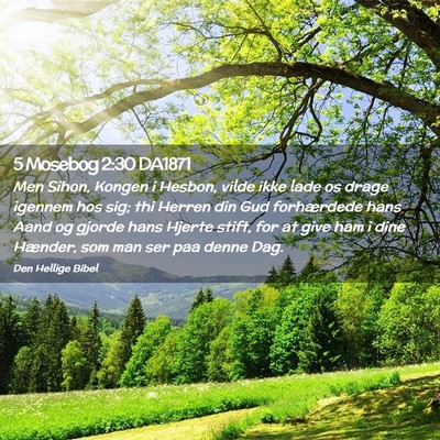 Picture 02 - 5 Mosebog 2:30 DA1871 - Men Sihon, Kongen i Hesbon, vilde ikke lade os - Bible Verse Picture
