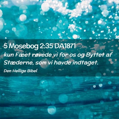 Picture 02 - 5 Mosebog 2:35 DA1871 - kun Fæet røvede vi for os og Byttet af - Bible Verse Picture