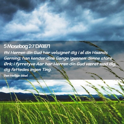 Picture 02 - 5 Mosebog 2:7 DA1871 - thi Herren din Gud har velsignet dig i al din - Bible Verse Picture