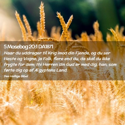 Picture 02 - 5 Mosebog 20:1 DA1871 - Naar du uddrager til Krig imod din Fjende, og du - Bible Verse Picture