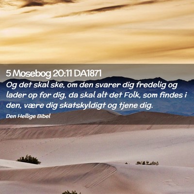 Picture 02 - 5 Mosebog 20:11 DA1871 - Og det skal ske, om den svarer dig fredelig og - Bible Verse Picture