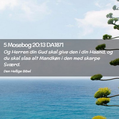 Picture 02 - 5 Mosebog 20:13 DA1871 - Og Herren din Gud skal give den i din Haand, og - Bible Verse Picture