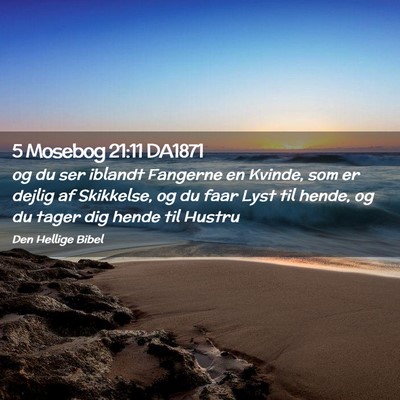 Picture 02 - 5 Mosebog 21:11 DA1871 - og du ser iblandt Fangerne en Kvinde, som er - Bible Verse Picture