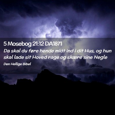 Picture 02 - 5 Mosebog 21:12 DA1871 - Da skal du føre hende midt ind i dit Hus, og hun - Bible Verse Picture