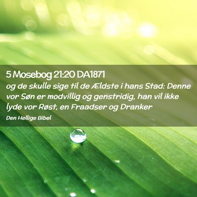 Picture 02 - 5 Mosebog 21:20 DA1871 - og de skulle sige til de Ældste i hans Stad: - Bible Verse Picture