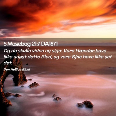 Picture 02 - 5 Mosebog 21:7 DA1871 - Og de skulle vidne og sige: Vore Hænder have - Bible Verse Picture