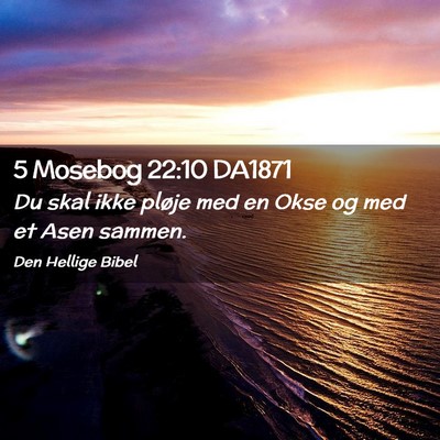 Picture 02 - 5 Mosebog 22:10 DA1871 - Du skal ikke pløje med en Okse og med et Asen - Bible Verse Picture