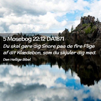 Picture 02 - 5 Mosebog 22:12 DA1871 - Du skal gøre dig Snore paa de fire Flige af dit - Bible Verse Picture