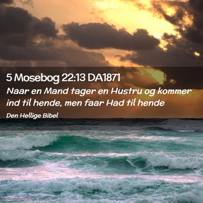 Picture 02 - 5 Mosebog 22:13 DA1871 - Naar en Mand tager en Hustru og kommer ind til - Bible Verse Picture