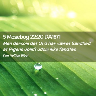 Picture 02 - 5 Mosebog 22:20 DA1871 - Men dersom det Ord har været Sandhed, at Pigens - Bible Verse Picture