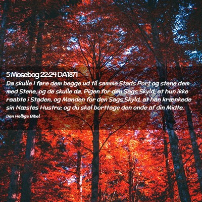Picture 02 - 5 Mosebog 22:24 DA1871 - Da skulle I føre dem begge ud til samme Stads - Bible Verse Picture