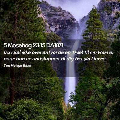 Picture 02 - 5 Mosebog 23:15 DA1871 - Du skal ikke overantvorde en Træl til sin Herre, - Bible Verse Picture