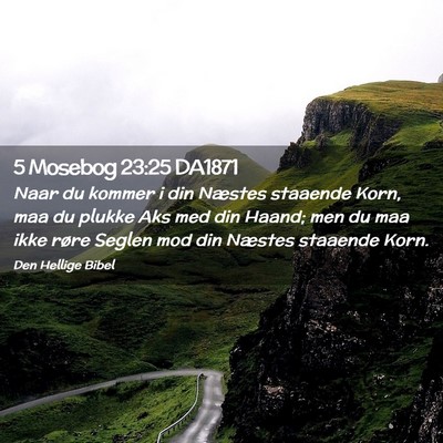 Picture 02 - 5 Mosebog 23:25 DA1871 - Naar du kommer i din Næstes staaende Korn, maa - Bible Verse Picture